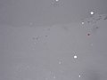 20070308 Hintertux 009